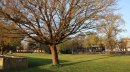 Jardin de la Corderie